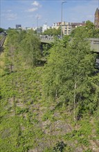 Overgrown railway tracks, route between S-Bahn and A 103 motorway at Saarstraße, Friedenau,