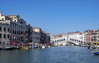 Rialto Bridge over the Grand Canal, Venice, Veneto, Italy, Europe