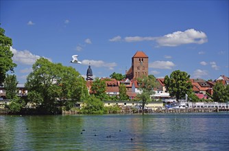 Europe, Germany, Mecklenburg-Western Pomerania, Waren an der Müritz, View of the town and St