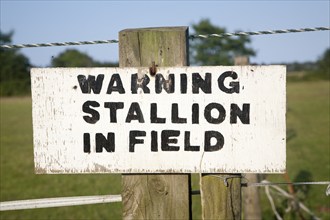 Sign Warning stallion in field close-up UK