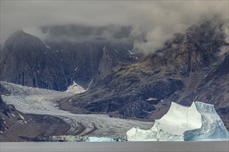 Large icebergs in fjord in front of steep mountains, glacier tongue, cloudy mood, summer, Scoresby