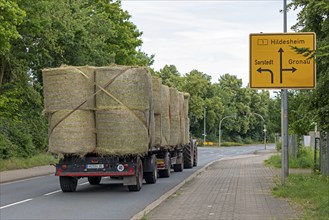 Tractor transporting straw, signpost, Burgstemmen, Lower Saxony, Germany, Europe