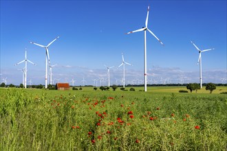 Wind farm north-east of Bad Wünnenberg, Ostwestfalen Lippe, Paderborn district, North