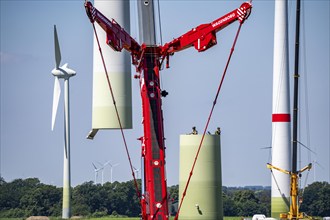 Repowering of a wind farm near Issum, here the dismantling of the tower, 9 older wind turbines from