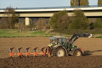 Farmer ploughing a field, tractor with plough, near Neuss, Fleher motorway bridge, A46, North