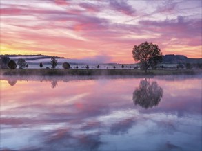 Still lake with morning mist at sunrise and dawn, a tree stands on the shore, clouds and landscape