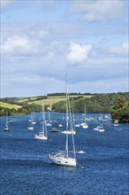 Boats and Yachts on Kingsbridge Estuary in Salcombe and Mill Bay, Batson Creek, Southpool Creek,