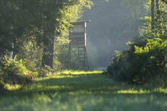 High seat for hunting in the forest, Lower Saxony, Germany, Europe