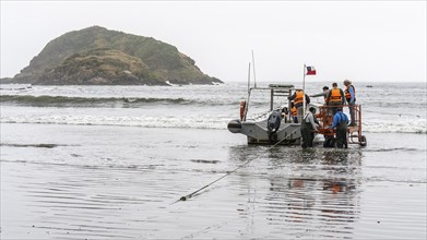 Natural Heritage Site Islotes de Punihuil, Punihuil, Chiloe, Chile, South America