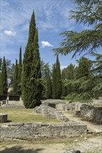 Vaison-la-Romaine. Archaeological site of Puymin. Vaucluse. Provence-Alpes-Côte d'Azur. France