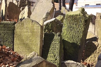 The Old Jewish Cemetery in the Josefov district is one of the most historically significant Jewish