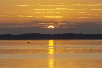 Sunset, near Chieming, Chiemsee, Chiemgau, Bavaria, Germany, Europe