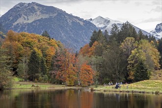 Moor, moor pond, autumn colours, autumn coloured trees, behind Allgäu Alps, Oberstdorf, Oberallgäu,