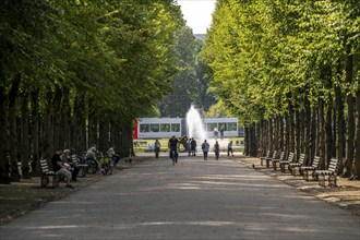 The Jägerhofallee in the Hofgarten, the central municipal park in Düsseldorf, view of the Jröner