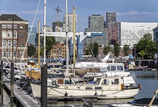 Rotterdam Marina, behind high-rise buildings in the Maritiem District on the other side of the