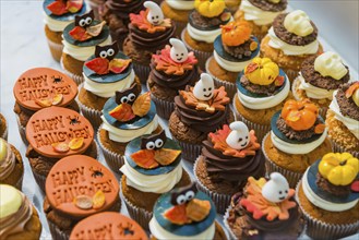 Halloween cupcakes, pastry, confectionery, confectionery, display, custom, celebration, childhood