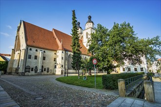 Luther city Wittenberg City Church, Saxony-Anhalt, Germany, Europe