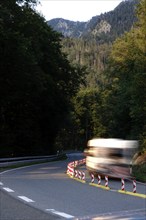 Kesselbergstraße, road between Kochelsee and Walchensee, August, Bavaria, Germany, Europe