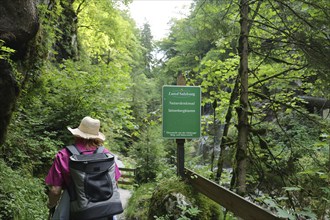 Seisenbergklamm gorge, natural monument, Pinzgau, Salzburger Land, Austria, Europe