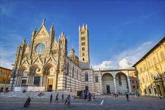 Cathedral of Siena, Tuscany, Italy, Europe