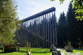 Sky ladder on the Schremser Hochmoor, municipality of Schrems, Waldviertel, Lower Austria, Austria,