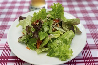 Fresh green salad plate, Franconia, Bavaria, Germany, Europe