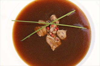 Southern German cuisine, oxtail soup with red pepper in a soup plate, bound soup, meat soup,