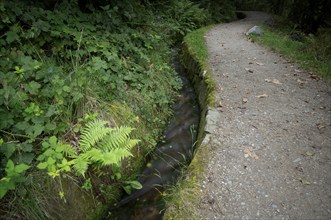 Hiking trail, Schenner Waalweg, Neuwaal, stream, long exposure, Schenna, Scena, South Tyrol,