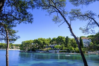 Cikat Bay, climate hiking trail, Mali Losinj, island of Losinj, Kvarner Gulf Bay, Croatia, Europe