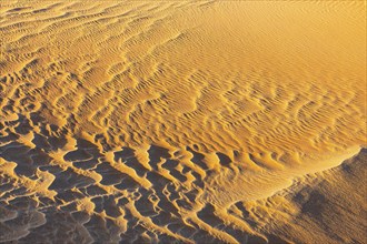 Sand structure formed by the wind, in the Rub al Khali desert, Dhofar province, Arabian Peninsula,