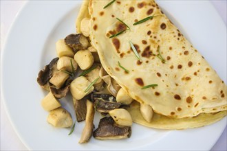 Swabian cuisine, pancakes filled with mushrooms, Flädle with king oyster mushrooms, from the pan,