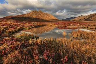 Morning light, clouds, fog, autumnal tundra, autumn colours, wilderness, mountains reflected in