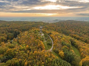 Observation tower in the middle of a colourful autumn forest with a passable road and a wide