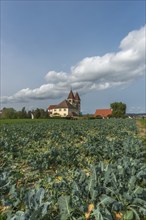 Collegiate Church of St Peter and Paul, Niederzell, Reichenau Island, double tower, rectory,