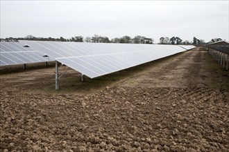 Solar array of photovoltaic panels in a large new solar park at Bucklesham, Suffolk, England,