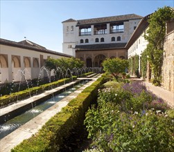 Patio de la Acequia, Court of the water Channel, Generalife palace gardens, Alhambra, Granada,