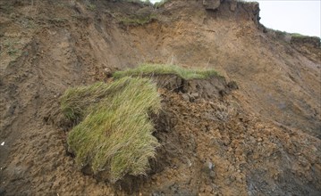 Rapidly eroding cliff of soft Red Crag rock at East Lane, Bawdsey, Suffolk, England, United