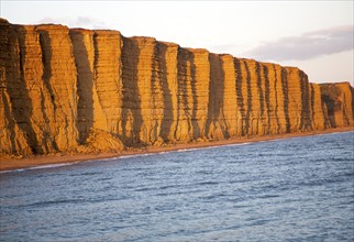 Golden afternoon light on sandstone cliffs, East Cliffs, West Bay, Bridport, Dorset, England, UK