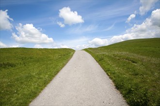 Small narrow lane on chalk downland scarp slope, Allington Down, Wiltshire, England, United