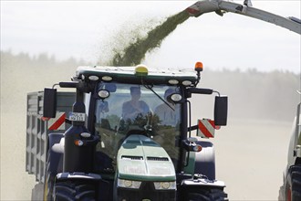 Forage harvesting on an organic farm A forage harvester transports the chopped forage grass into a