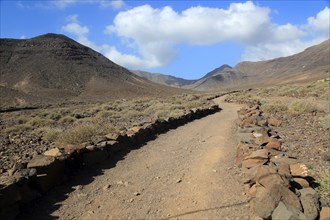 Footpath trail from Gran Valle to Cofete, Jandia peninsula, Fuerteventura, Canary Islands, Spain,