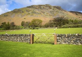 Hallin Fell, Howtown, Ullswater, Lake District national park, Cumbria, England, UK