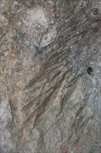 Tool chisel marks on rock walls medieval cave dwellings homes Ghar il-Kbir, Dingli, Malta, Europe