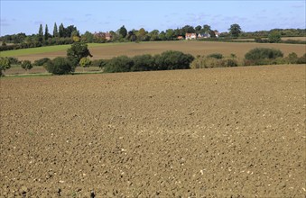 Rural early autumn landscape harrowed fields Monewden, Suffolk, England, UK