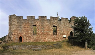 The ruins of Wolfsburg Castle above Neustadt an der Weinstraße