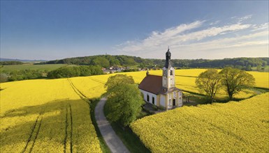 Agriculture, rape field, in full bloom, yellow, in it a small prayer chapel, aerial view, AI