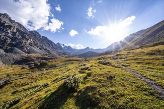 Hiking trail, green high valley in atmospheric light, Keldike Valley on the way to the Ala Kul