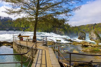 Rhine Falls and Swiss Flag with the Castle Laufen at Neuhausen in Schaffhausen, Switzerland, Europe