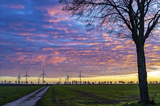 Wind farm near Holzweiler, town of Erkelenz, wind power plants, North Rhine-Westphalia, Germany,