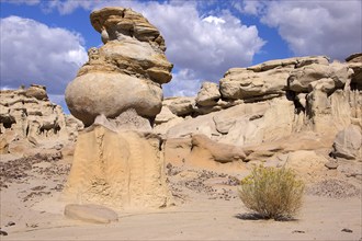 The Valley of Dreams, New Mexico, USA, Valley of Dreams, New Mexico, USA, North America